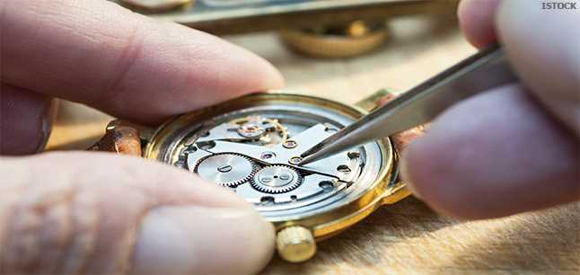 Effects on Longevity