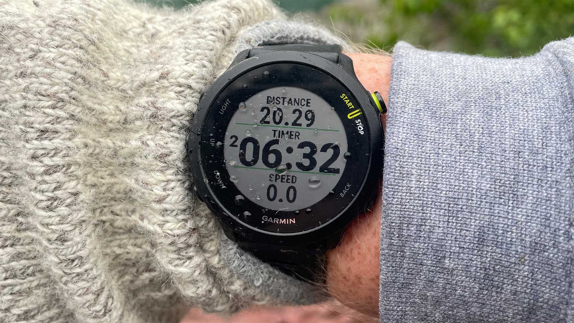 Distinguishing Between Digital and Analog Timepieces